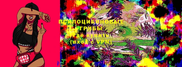 ешки Алексин