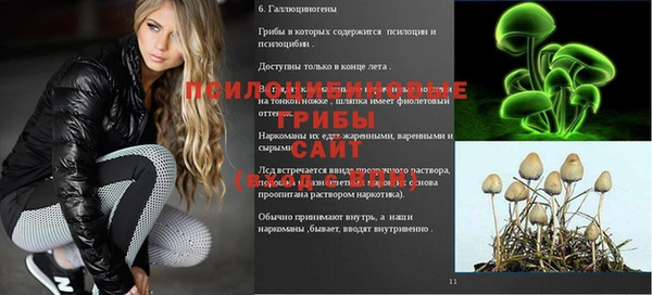 МДПВ Каменка