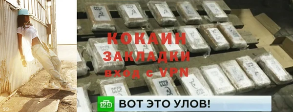 ешки Алексин