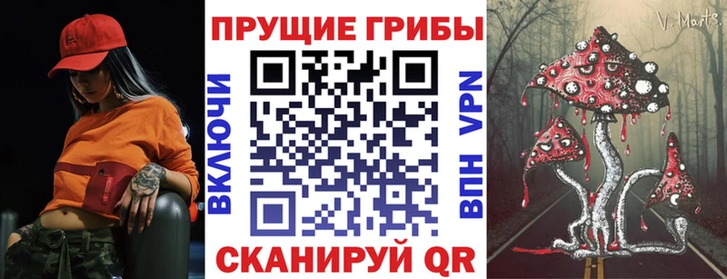 Купить закладки  Орёл  Галлюциногенные грибы мицелий 